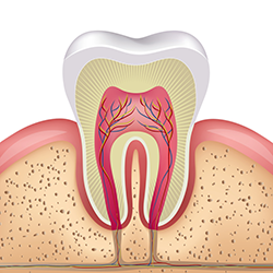 Endodontia